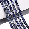 Natural Sodalite Beads Strands G-Q606-46A-03-1