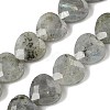 Natural Labradorite Beads Strands G-A309-A09-01-2