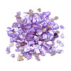 Natural Freshwater Shell Slices MRMJ-N026-003-07-3