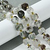 Natural Green Lodolite Quartz/Garden Quartz Beads Strands G-Q010-A18-01-2