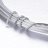 Round Aluminum Wire AW-D009-1mm-5m-21-2