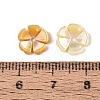 Natural Yellow Shell Carved Beads SHEL-Q028-04-3
