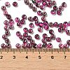 Transparent Inside Colours Glass Seed Beads SEED-H002-A-C207-4