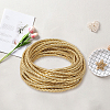 10M Round Imitation Leather Braided Cord WL-GF0001-32A-02-6