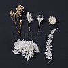 Dried Flowers DIY-D052-04-3