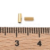 304 Stainless Steel Beads STAS-P448-01A-G-3
