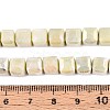 Anti-Tarnish Electroplate Glass Beads Strands GLAA-T025-8mm-10F-4