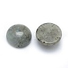Natural Labradorite Cabochons G-P393-R47-6MM-2