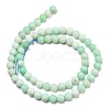 Grade A Natural Chrysoprase Beads Strands G-R494-A02-02-2