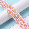 Glass Seed Bead Strands LAMP-B021-04C-2