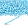 8/0 Glass Seed Beads X1-SEED-A011-3mm-143-2