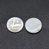 Shell Cabochons SSHEL-E568-B13-1