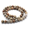 Natural Fossil Coral Beads Strands G-G763-12-12mm-2