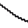 Polyester Braid Ribbon OCOR-WH0065-20B-01-2