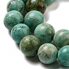 Natural Peruvian Turquoise(Jasper) Beads Strands G-A219-A05-02-3