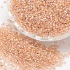 8/0 Round Glass Seed Beads SEED-J017-F8-672-1