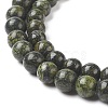 Natural Serpentine/Green Lace Stone Beads Strands X-G-S259-15-6mm-1-3