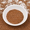 MIYUKI Delica Beads SEED-J020-DB2287-2