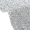 Glitter Resin Hotfix Rhinestone(Adhesive On The Back) DIY-WH0166-23B-5