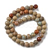 Natural Aqua Terra Jasper Beads Strands G-E444-14B-8mm-2