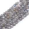 Natural Labradorite Beads Strands G-R475-025C-1