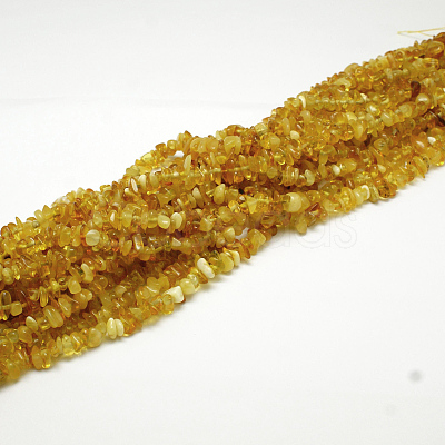 Natural Amber Chip Beads Strands X-G-E333-01B-1