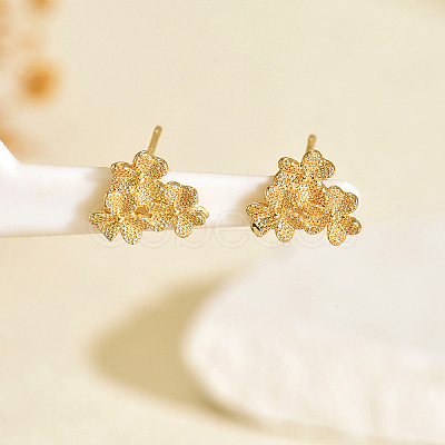 Brass Stud Earrings LS3031-8-1