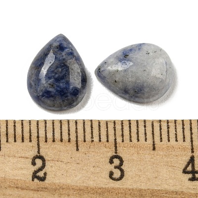 Natural Blue Spot Jasper Cabochons G-Q173-02C-18-1