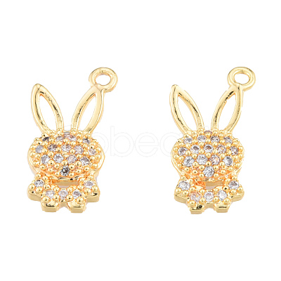 Brass Micro Pave Clear Cubic Zirconia Charms KK-N231-379-1