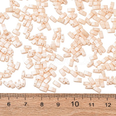 MIYUKI Half TILA Beads SEED-MY05-HTL593-1