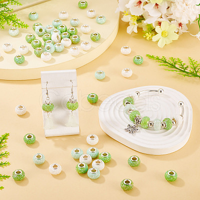 100Pcs Large Hole Resin European Beads OPDL-TA0001-06B-1