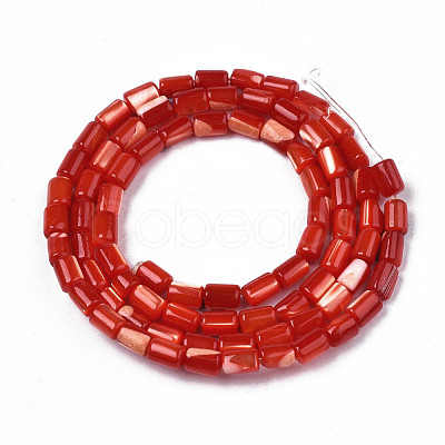 Natural Trochid Shell/Trochus Shell Beads Strands SHEL-N003-26-B03-1