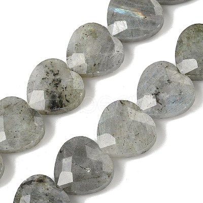Natural Labradorite Beads Strands G-A309-A09-01-1