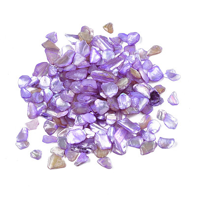 Natural Freshwater Shell Slices MRMJ-N026-003-07-1
