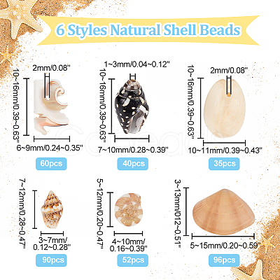 6 Styles Natural Shell Beads Display Ornaments SHEL-PH0001-46-1