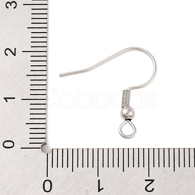 Tarnish Resistant Earrings Findings Original Color 304 Stainless Steel Earring Hooks X-STAS-H011-1