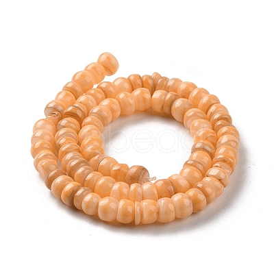 Natural Cultured Freshwater Shell Beads Strands SHEL-F002-01E-1