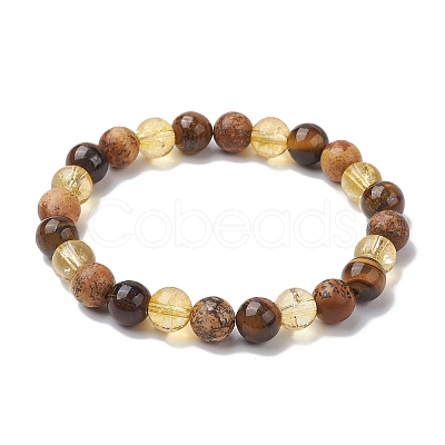 8mm Round Natural Tiger Eye & Picture Jasper BJEW-JB10625-03-1