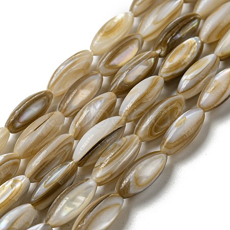 Natural Freshwater Shell Beads Strands SHEL-C005-04-1