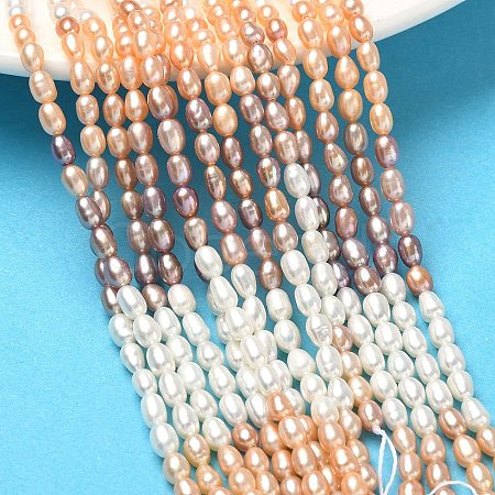 Natural Cultured Freshwater Pearl Beads Strands PEAR-C004-14B-1