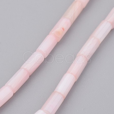 Natural Shell Bead Strands BSHE-P016-02-1