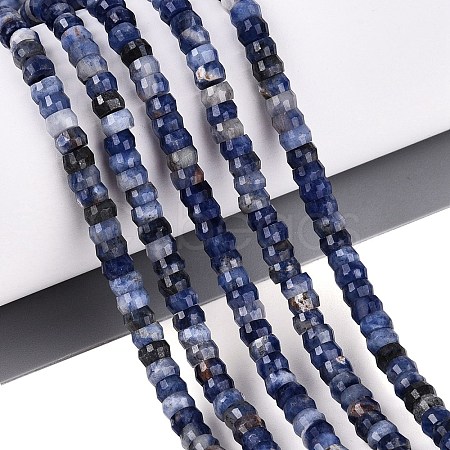 Natural Sodalite Beads Strands G-Q606-46A-03-1