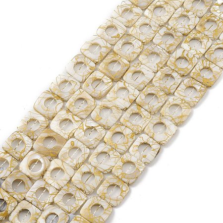 Drawbench Style Natural Freshwater Shell Beads Strands BSHE-E028-05-1