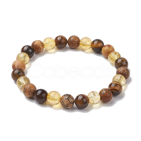8mm Round Natural Tiger Eye & Picture Jasper BJEW-JB10625-03-1