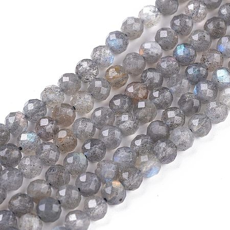 Natural Labradorite Beads Strands G-R475-025C-1