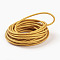 Braided Leather Cord, Leather Jewelry Cord, Jewelry DIY Making Material, Dyed, Round, Gold, 6mm, about 10.93 yards(10m)/bundle