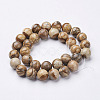 Natural Gemstone Beads Strands GSR12mmC016-3