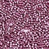 FGB 11/0 Grade A Glass Seed Beads SEED-S030-1203-2