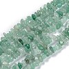 Natural Green Aventurine Beads Strands G-G011-06-1