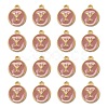 Golden Plated Alloy Enamel Charms X-ENAM-S118-07Y-2